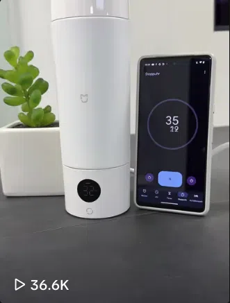 Xiaomi Wasserkocher